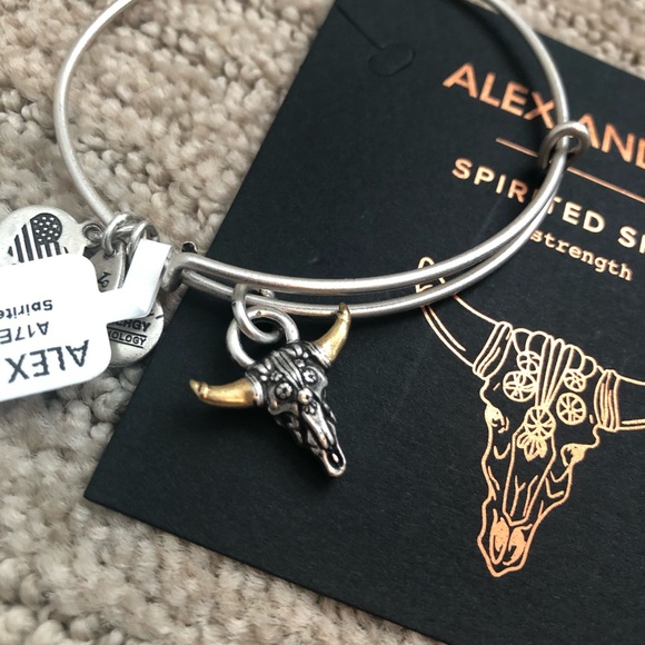 NWT! Alex and Ani Spirited Skull charm bracelet - Picture 3 of 4